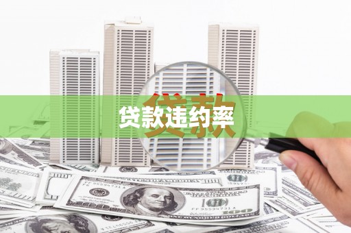 龙州贷款违约率