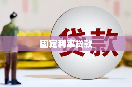 龙州固定利率贷款