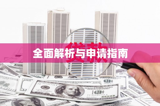 龙州全面解析与申请指南
