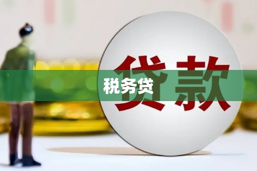 龙州税务贷