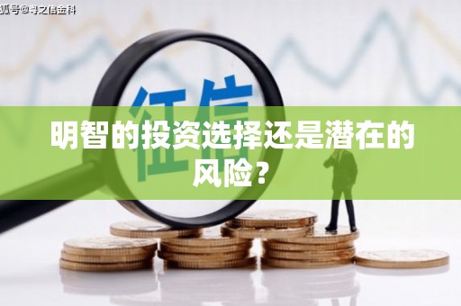 龙州明智的投资选择还是潜在的风险？