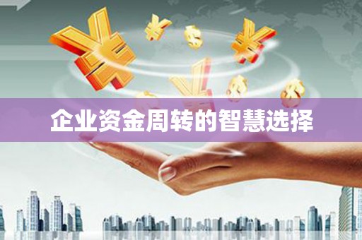 龙州企业资金周转的智慧选择