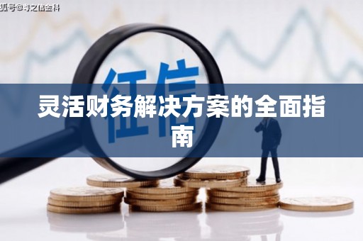 龙州灵活财务解决方案的全面指南