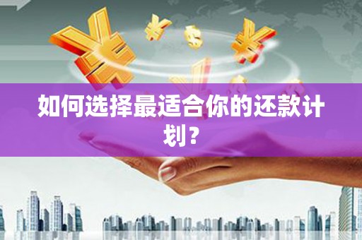龙州如何选择最适合你的还款计划？