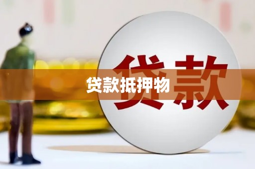 龙州贷款抵押物