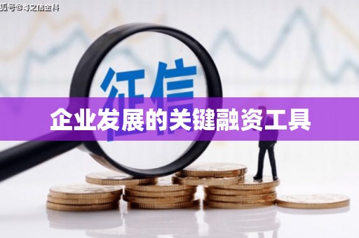 龙州企业发展的关键融资工具