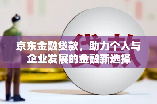 龙州京东金融贷款，助力个人与企业发展的金融新选择