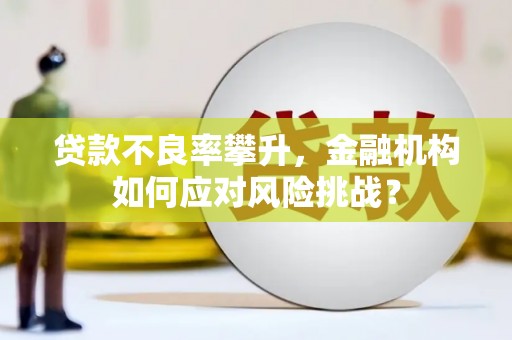 龙州贷款不良率攀升，金融机构如何应对风险挑战？