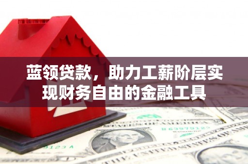 龙州蓝领贷款，助力工薪阶层实现财务自由的金融工具