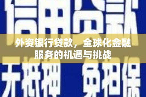 龙州外资银行贷款，全球化金融服务的机遇与挑战
