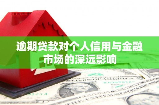龙州逾期贷款对个人信用与金融市场的深远影响