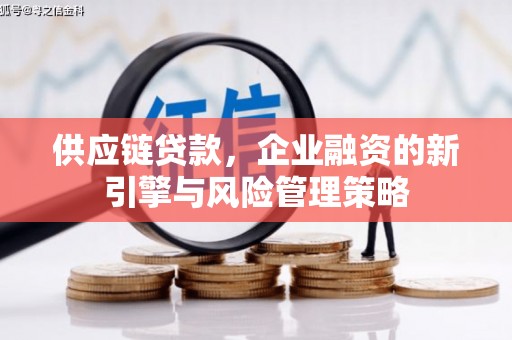 龙州供应链贷款，企业融资的新引擎与风险管理策略
