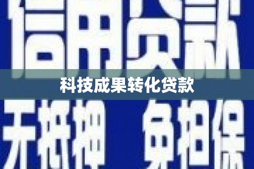 龙州科技成果转化贷款
