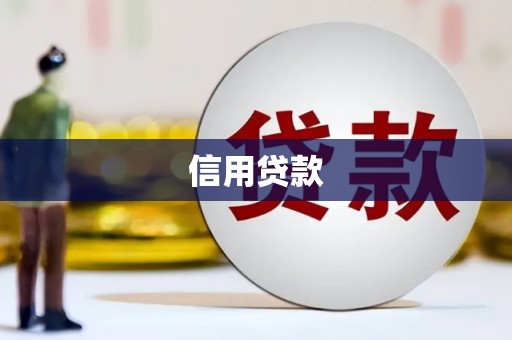龙州信用贷款