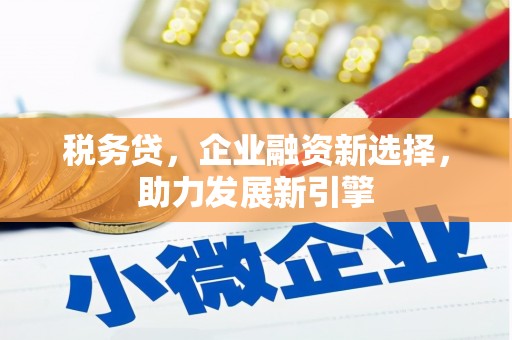 龙州税务贷，企业融资新选择，助力发展新引擎