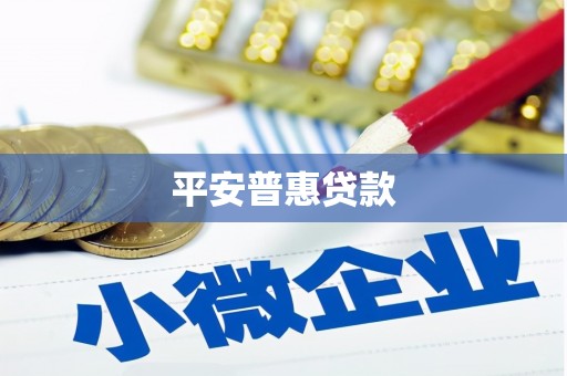 龙州平安普惠贷款