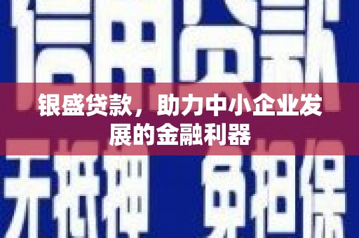 龙州银盛贷款，助力中小企业发展的金融利器