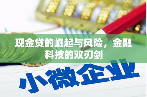龙州现金贷的崛起与风险，金融科技的双刃剑