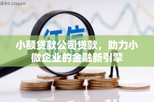 龙州小额贷款公司贷款，助力小微企业的金融新引擎