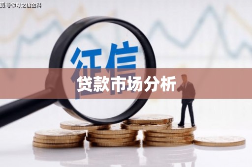 龙州贷款市场分析