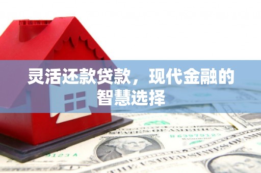 龙州灵活还款贷款，现代金融的智慧选择