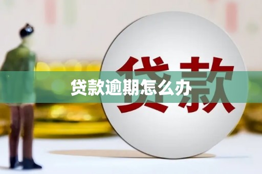 龙州贷款逾期怎么办