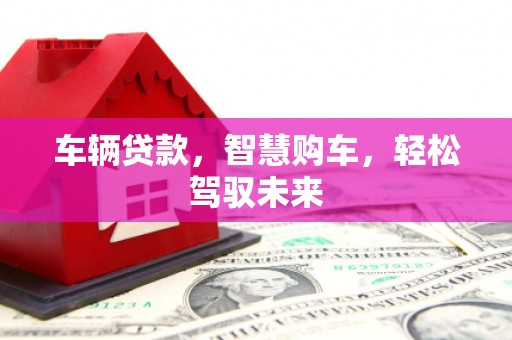 龙州车辆贷款，智慧购车，轻松驾驭未来