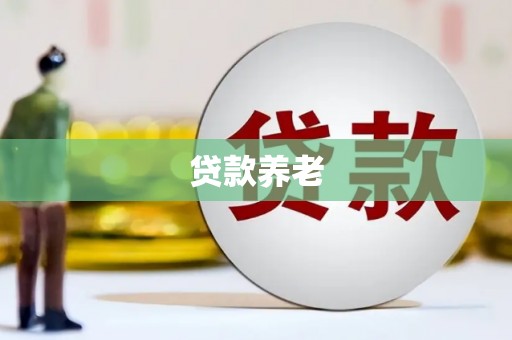 龙州贷款养老