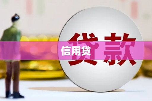 龙州信用贷