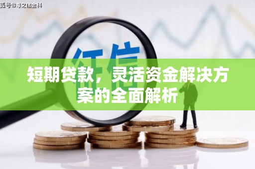 龙州短期贷款，灵活资金解决方案的全面解析