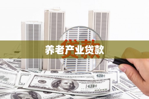 龙州养老产业贷款