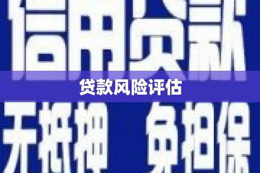 龙州贷款风险评估