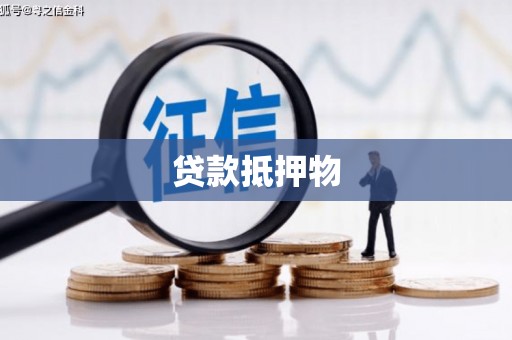 龙州贷款抵押物