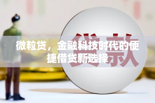 龙州微粒贷，金融科技时代的便捷借贷新选择