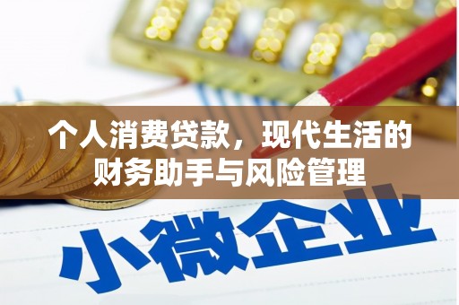 龙州个人消费贷款，现代生活的财务助手与风险管理