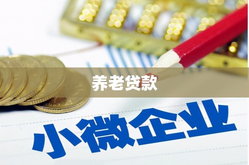 龙州养老贷款