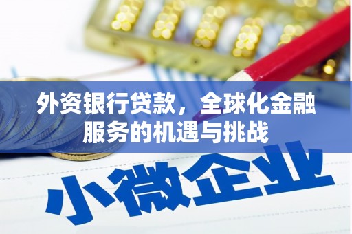 龙州外资银行贷款，全球化金融服务的机遇与挑战