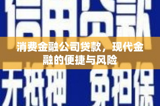 龙州消费金融公司贷款，现代金融的便捷与风险