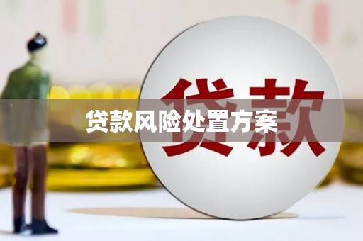 龙州贷款风险处置方案