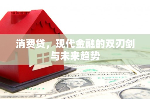 龙州消费贷，现代金融的双刃剑与未来趋势
