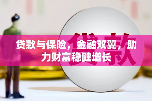 龙州贷款与保险，金融双翼，助力财富稳健增长
