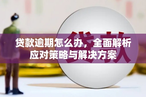 龙州贷款逾期怎么办，全面解析应对策略与解决方案