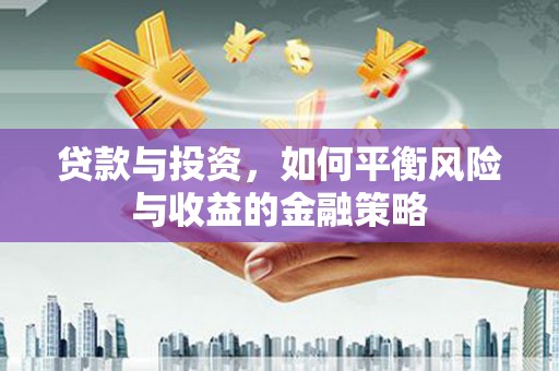 龙州贷款与投资，如何平衡风险与收益的金融策略