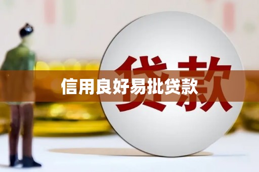龙州信用良好易批贷款