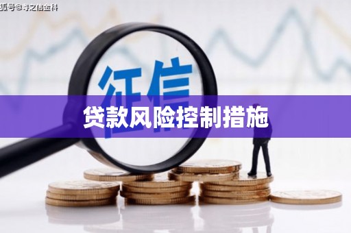 龙州贷款风险控制措施
