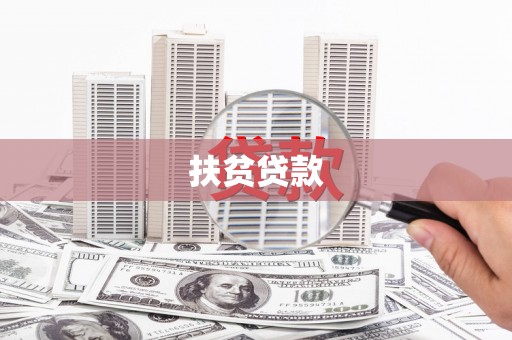 龙州扶贫贷款