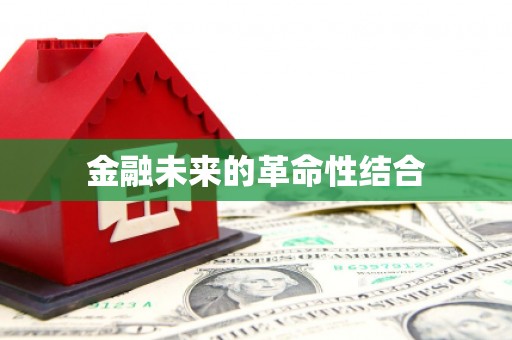 龙州金融未来的革命性结合