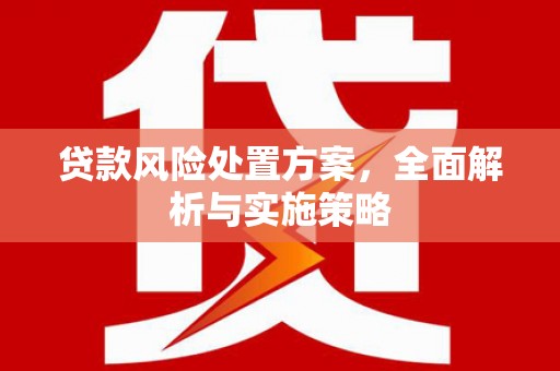 龙州贷款风险处置方案，全面解析与实施策略
