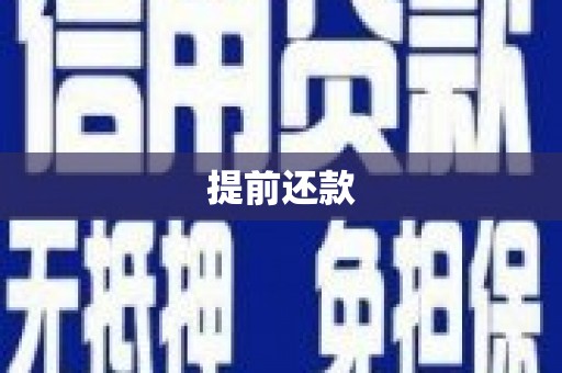 龙州提前还款
