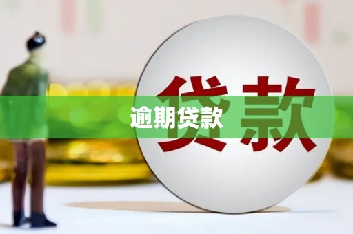 龙州逾期贷款